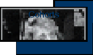 gen_1221.1.gif